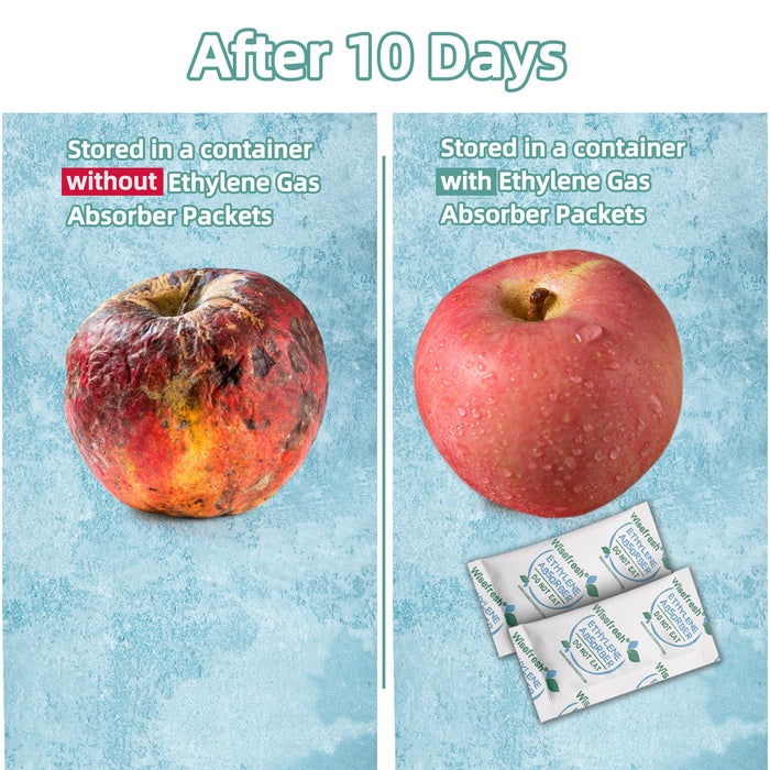 10g Ethylene Absorber for Fruits & Vegetables – Food Preservation Solution that Keeps Food Fresh