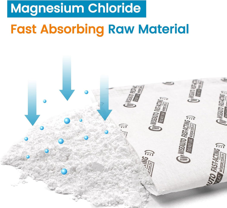 Headlight Desiccant Packs 10g - Anti-Fog Moisture Absorbers for Car Headlamps