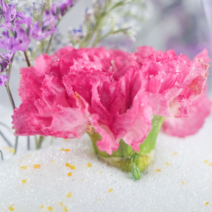 Wisedry 8 lbs Silica Gel Flower Drying Crystals Color Indicating Reu